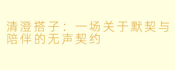 清澄搭子：一场关于默契与陪伴的无声契约