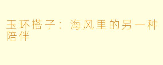 玉环搭子：海风里的另一种陪伴