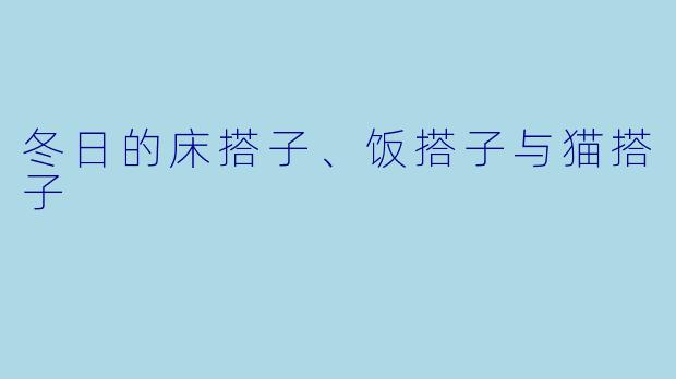 冬日的床搭子、饭搭子与猫搭子