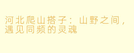 河北爬山搭子：山野之间，遇见同频的灵魂