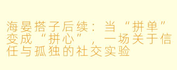 海晏搭子后续：当“拼单”变成“拼心”，一场关于信任与孤独的社交实验