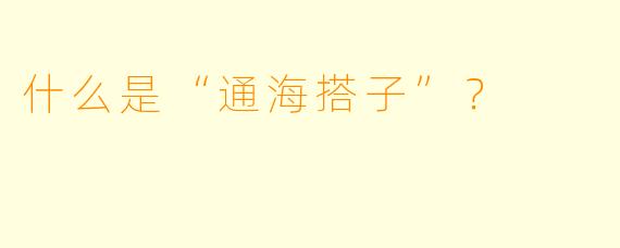 什么是“通海搭子”？