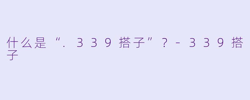 什么是“.339搭子”？-339搭子