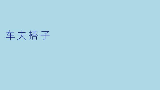 车夫搭子