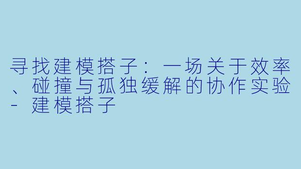寻找建模搭子：一场关于效率、碰撞与孤独缓解的协作实验-建模搭子