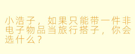 小浩子，如果只能带一件非电子物品当旅行搭子，你会选什么？