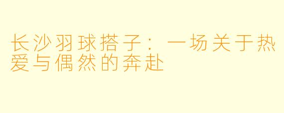 长沙羽球搭子:一场关于热爱与偶然的奔赴