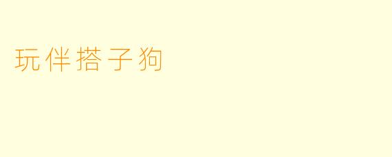 玩伴搭子狗