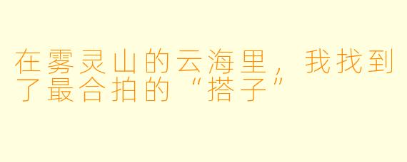 在雾灵山的云海里，我找到了最合拍的“搭子”