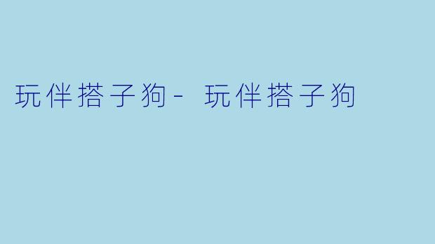 玩伴搭子狗-玩伴搭子狗
