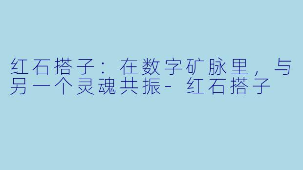 红石搭子：在数字矿脉里，与另一个灵魂共振