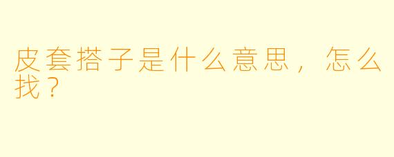 皮套搭子是什么意思，怎么找？