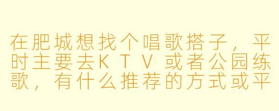 在肥城想找个唱歌搭子，平时主要去KTV或者公园练歌，有什么推荐的方式或平台吗？