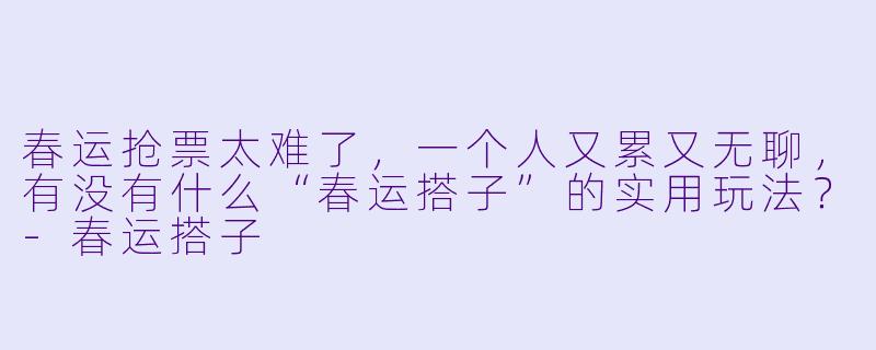 春运抢票太难了，一个人又累又无聊，有没有什么“春运搭子”的实用玩法？-春运搭子