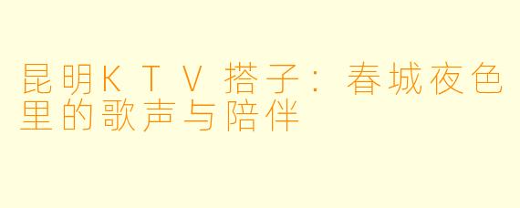 昆明KTV搭子：春城夜色里的歌声与陪伴