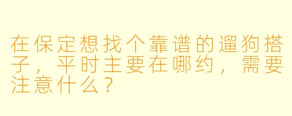 在保定想找个靠谱的遛狗搭子，平时主要在哪约，需要注意什么？