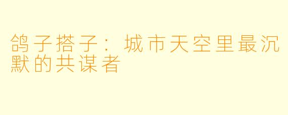 鸽子搭子:城市天空里最沉默的共谋者