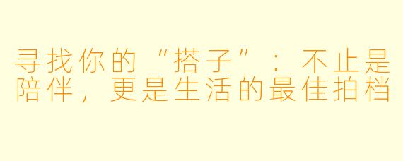 寻找你的“搭子”:不止是陪伴,更是生活的最佳拍档