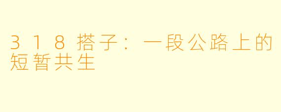 318搭子：一段公路上的短暂共生