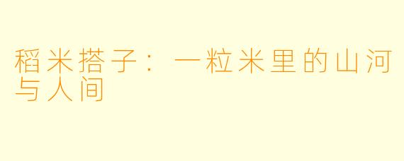 稻米搭子：一粒米里的山河与人间