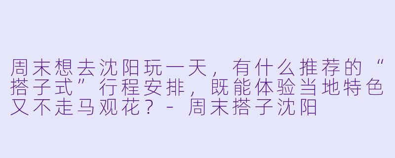周末想去沈阳玩一天,有什么推荐的“搭子式”行程安排,既能体验当地特色又不走马观花?-周末搭子沈阳