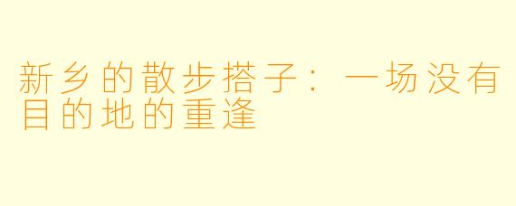 新乡的散步搭子：一场没有目的地的重逢