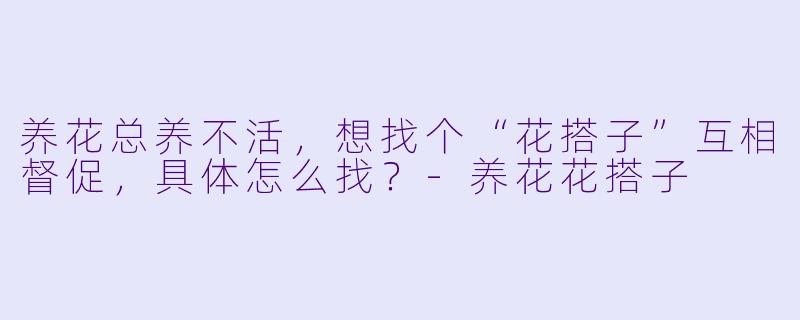 养花总养不活,想找个“花搭子”互相督促,具体怎么找?-养花花搭子
