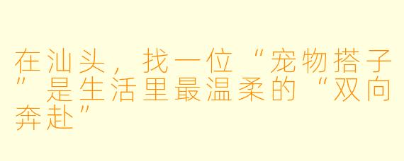 在汕头,找一位“宠物搭子”是生活里最温柔的“双向奔赴”