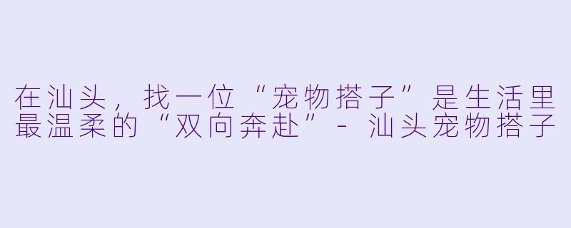在汕头,找一位“宠物搭子”是生活里最温柔的“双向奔赴”-汕头宠物搭子