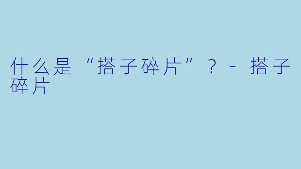 什么是“搭子碎片”？-搭子碎片