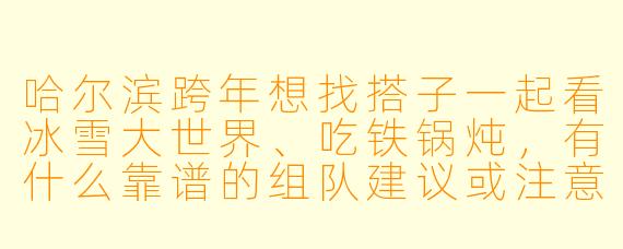 哈尔滨跨年想找搭子一起看冰雪大世界、吃铁锅炖，有什么靠谱的组队建议或注意事项吗？
