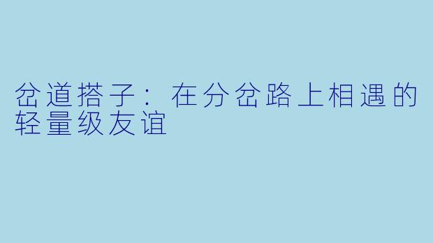 岔道搭子:在分岔路上相遇的轻量级友谊