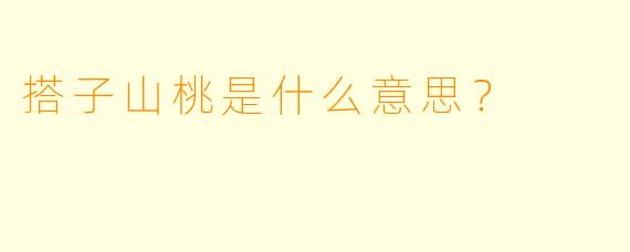 搭子山桃是什么意思？