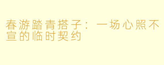 春游踏青搭子：一场心照不宣的临时契约