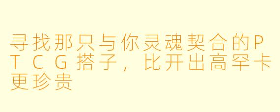 寻找那只与你灵魂契合的PTCG搭子,比开出高罕卡更珍贵