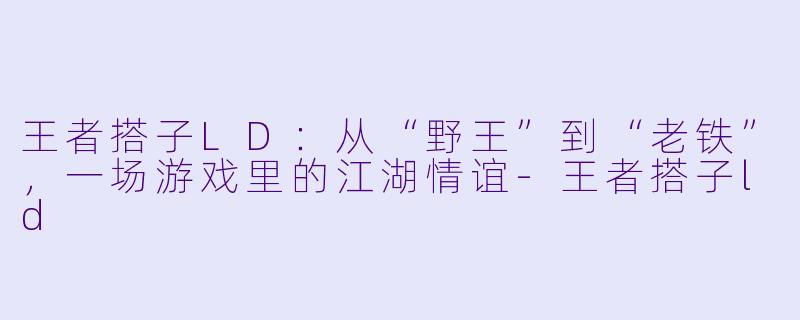 王者搭子LD:从“野王”到“老铁”,一场游戏里的江湖情谊-王者搭子ld