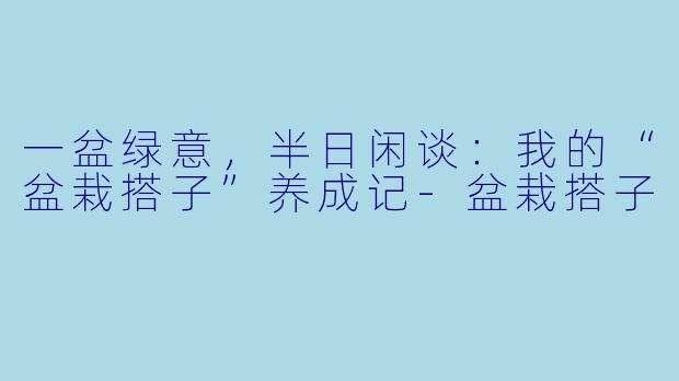 一盆绿意，半日闲谈：我的“盆栽搭子”养成记-盆栽搭子