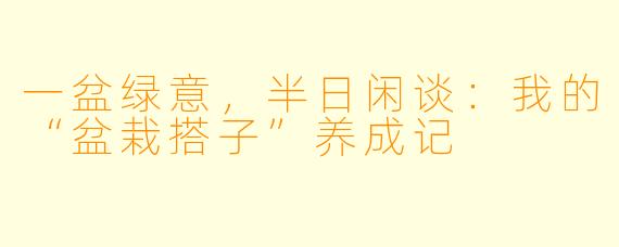 一盆绿意，半日闲谈：我的“盆栽搭子”养成记