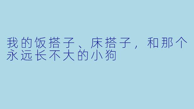 我的饭搭子、床搭子，和那个永远长不大的小狗