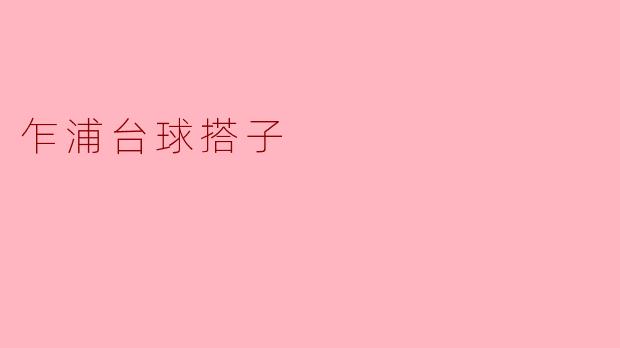 乍浦台球搭子
