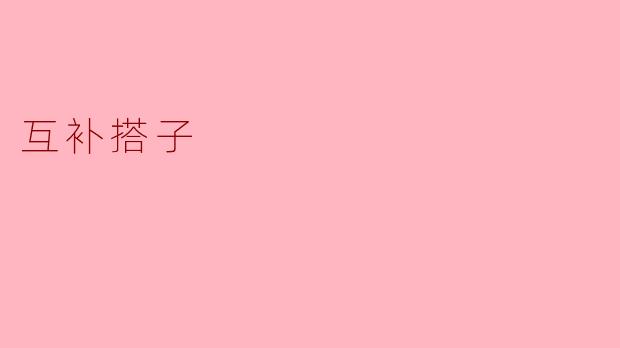 互补搭子