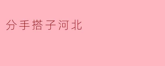 分手搭子河北