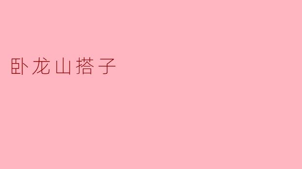 卧龙山搭子