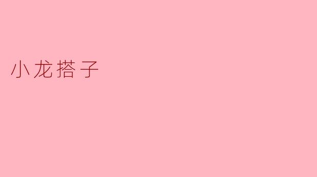 小龙搭子