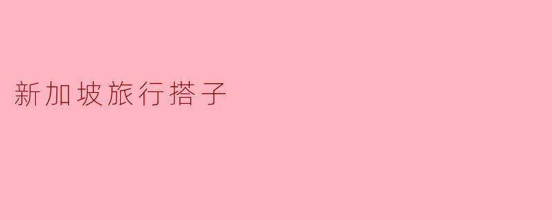 新加坡旅行搭子