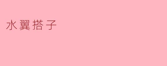水翼搭子