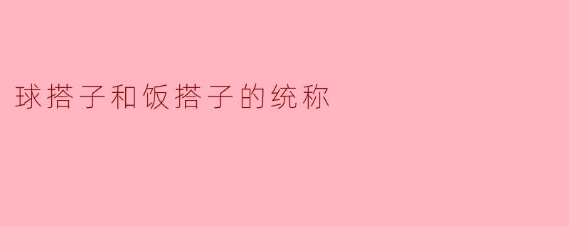 球搭子和饭搭子的统称叫什么？