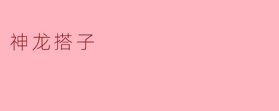 神龙搭子