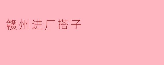 赣州进厂搭子