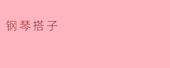 钢琴搭子